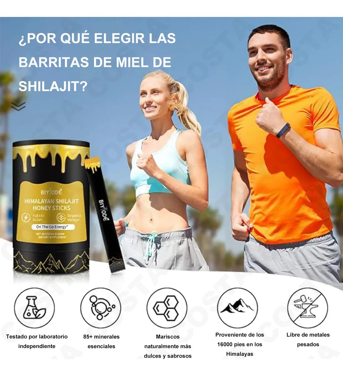 SHILAJIT Honey Sticks - 30 barritas