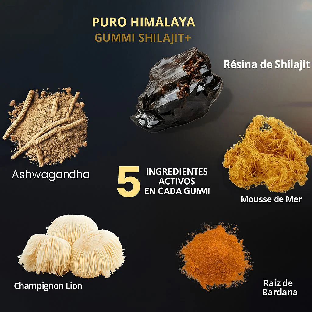 SHILAJIT - 60 Gomitas