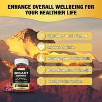 SHILAJIT - 60 Gomitas